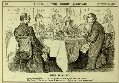 Punch Curates Egg 1895